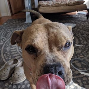 Meet your Posher, Shelly